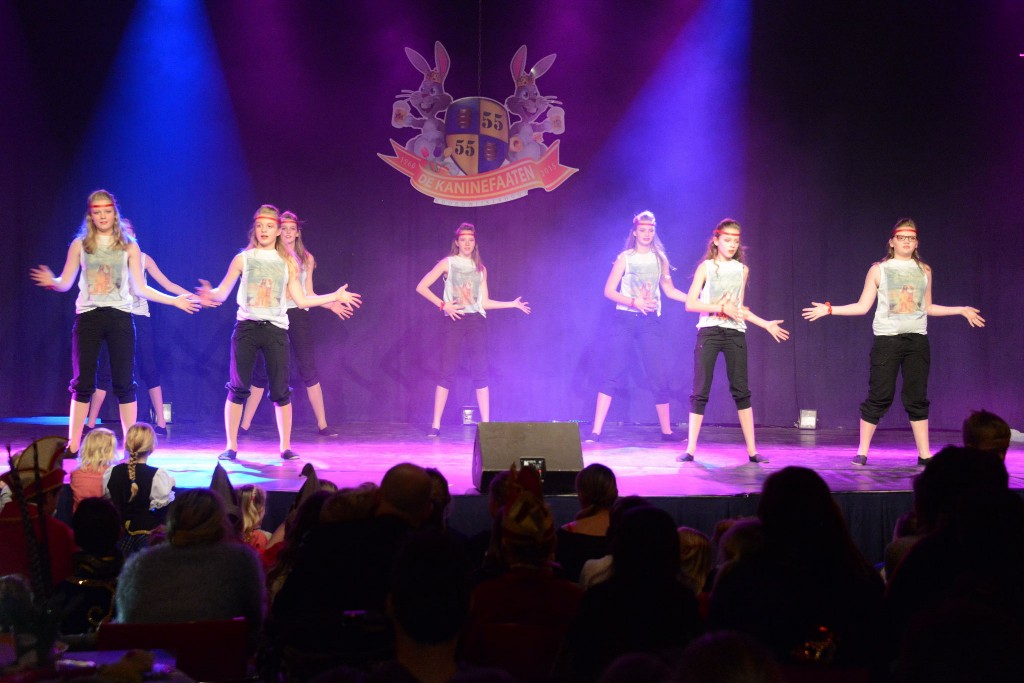 ../Images/Dansmarieke festival 2015 419.jpg
